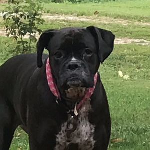 Meet your Posher, Lana